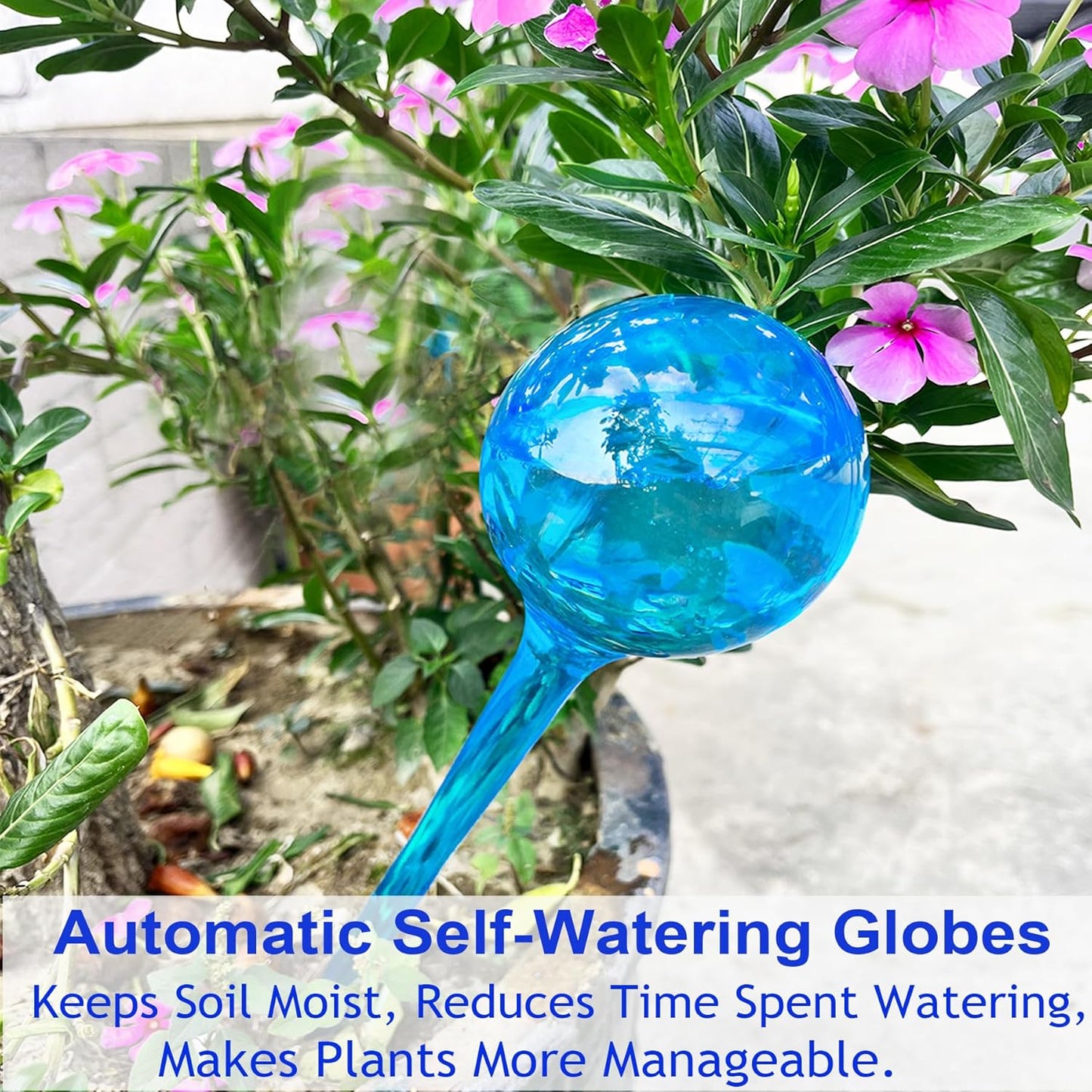 Self Watering Globes for Plants - 10pcs Automatic Watering Bulbs for Indoor & Outdoor Potted Plants, Vacation Plant Care, Water Conservation Device