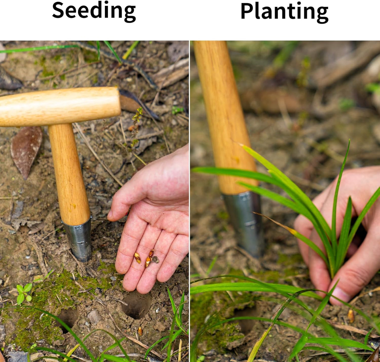 Hand Dibber Garden Tool, Seed Planter Tool with Wood Handle for Sowing Seed - 5" Seed Dispenser for Planting Steel Garden Dibber, Transplanting Plants,Planting Bulb,Digging