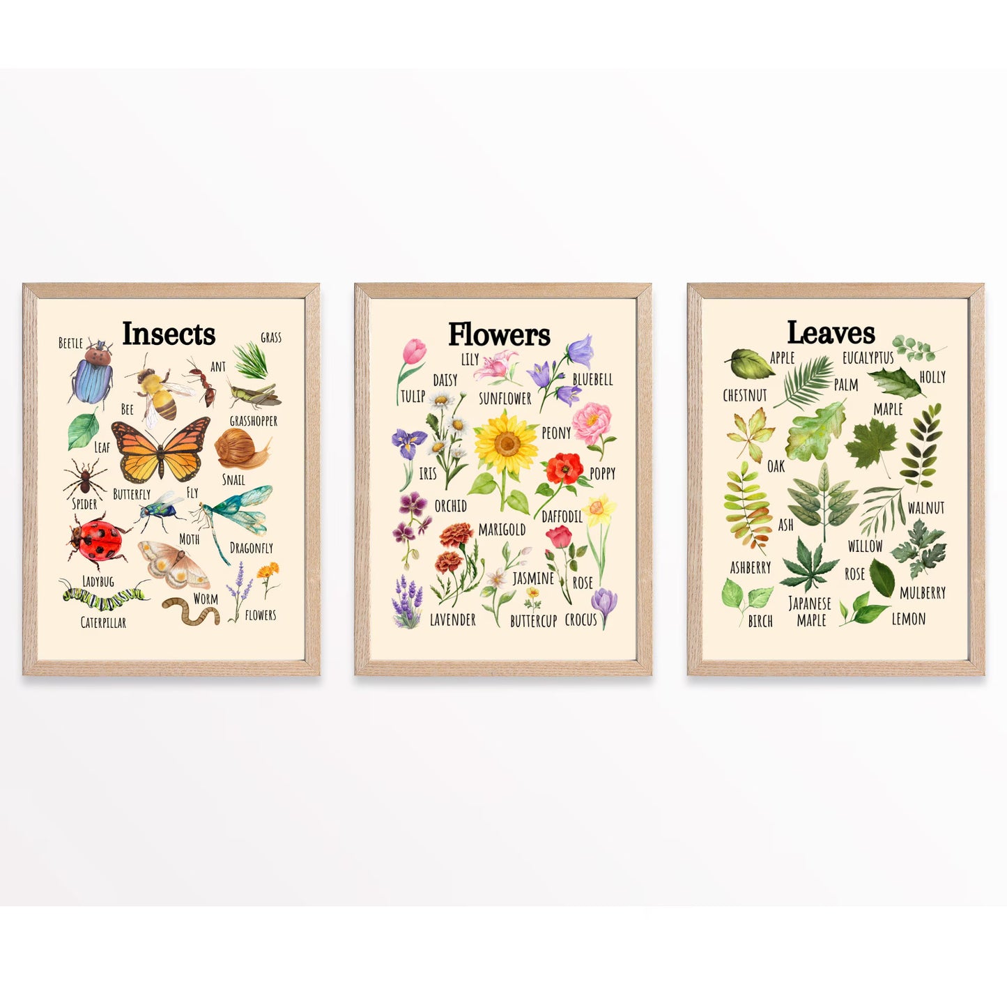 Insects Educational Poster, Flowers Poster, Printable Wall Art, Nature Learning Poster, Montessori, Homeschool, Classroom, Forest School