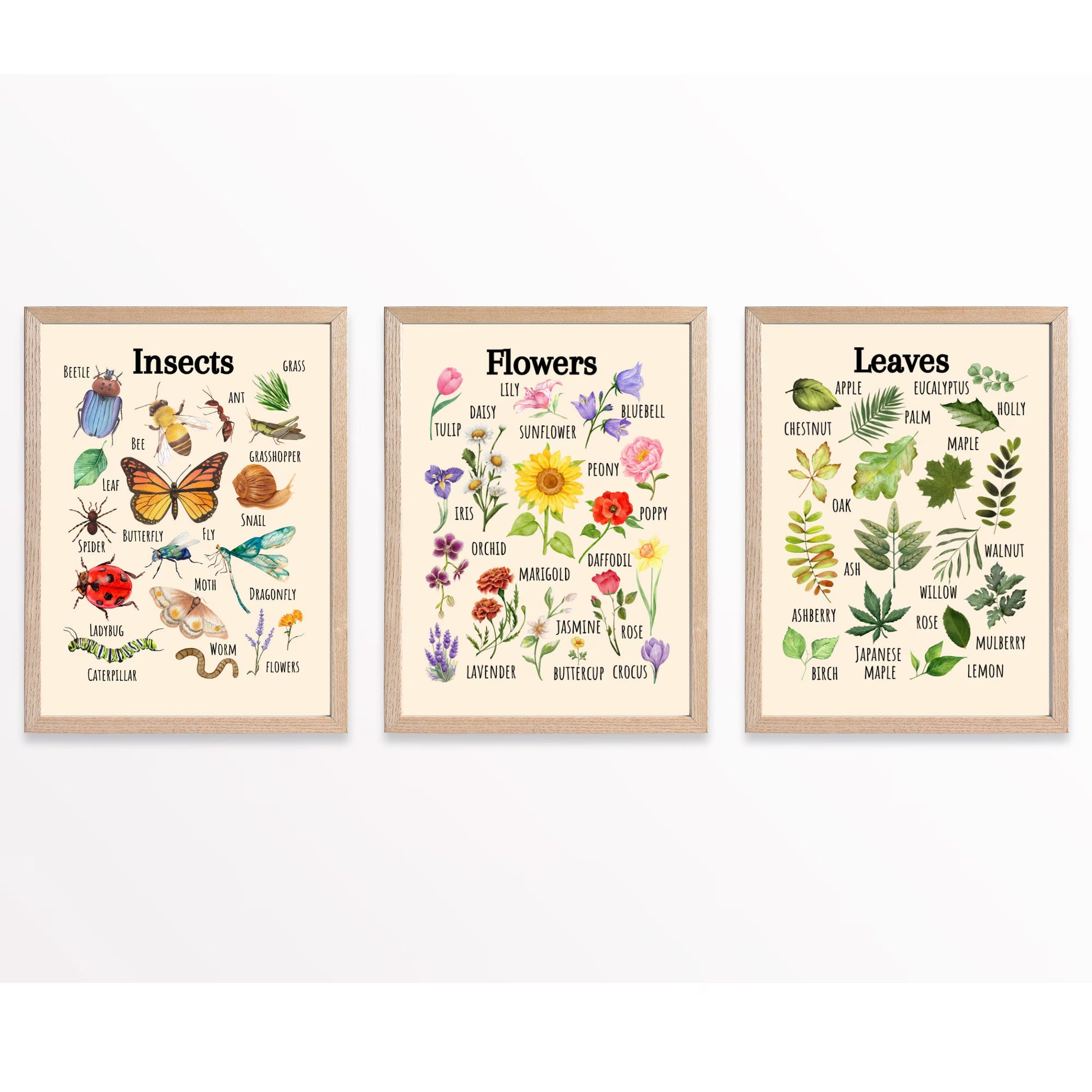 Insects Educational Poster, Flowers Poster, Printable Wall Art, Nature Learning Poster, Montessori, Homeschool, Classroom, Forest School