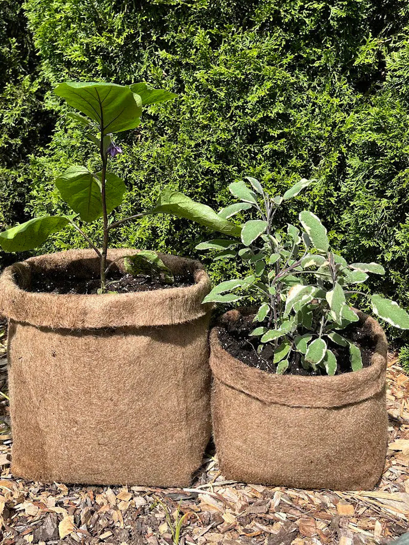 Hemp Material Pot Planter: Eco-Friendly Grow Bag