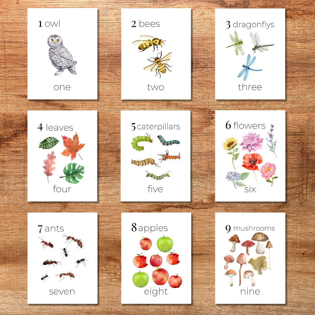 Nature Number Cards 1-20 Classroom Math Counting Cards Nursery Wall Art Montessori Pre K Homeschool Activities Classroom Nature Aesthetic