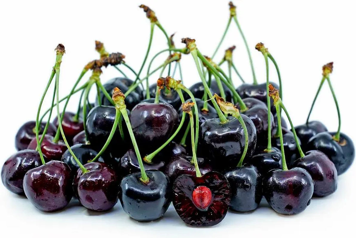 BLACK TARTARIAN SWEET Cherry ,Prunus avium - hardwood cuttings, scion wood-6 organic cuttings.