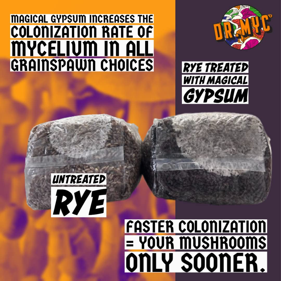 Magical Gypsum - Lab Grade Gypsum with Nutritional Profile Designed by Mycologist . Perfect for Bulk Mushroom Substrate + Houseplants - Lab Grade with MGP Microbes for Mushroom Growing (1lb)