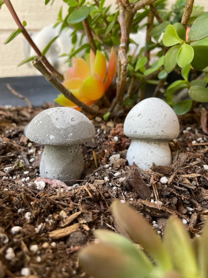 Mushrooms Concrete Garden Planter Decorations Pots Fairy Vegetable