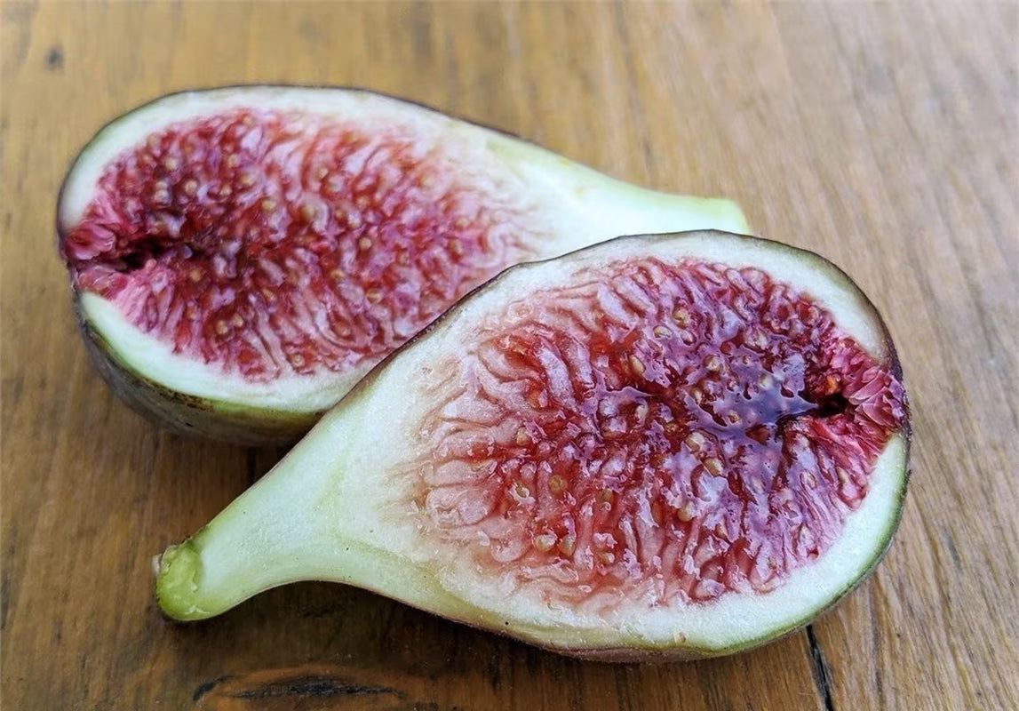 Fresh Fig Tree Cuttings  Select the Variety and Quantities You Want