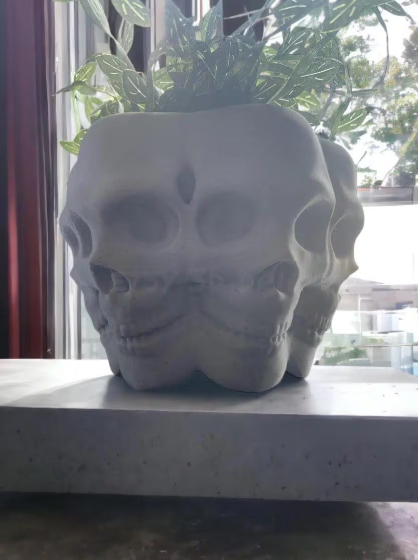 Multifaced Skull Planter, Poly Face Vase, Goth Flower Pot, Skeleton Bowl, Succulent, Cacti, Air Plant, Halloween Decor, Home, Garden, Office