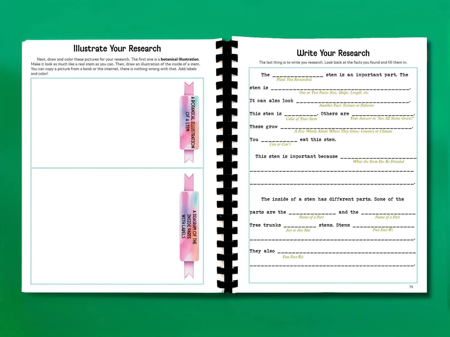 Botany Workbook for Homeschoolers - Grades 5β12 - Creative, Credit-Worthy Plant Science - Homeschool Middle School - Neurodivergent Friendly