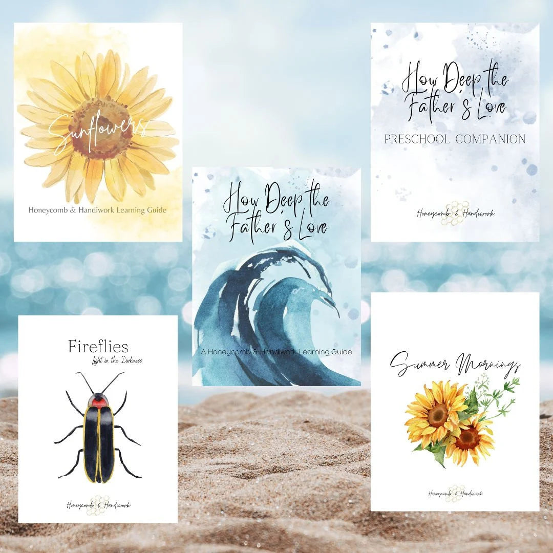 Summer Collection homeschool curriculum, nature study unit, morning time bundle, charlotte Mason inspired, ocean, firefly, sunflower lesson