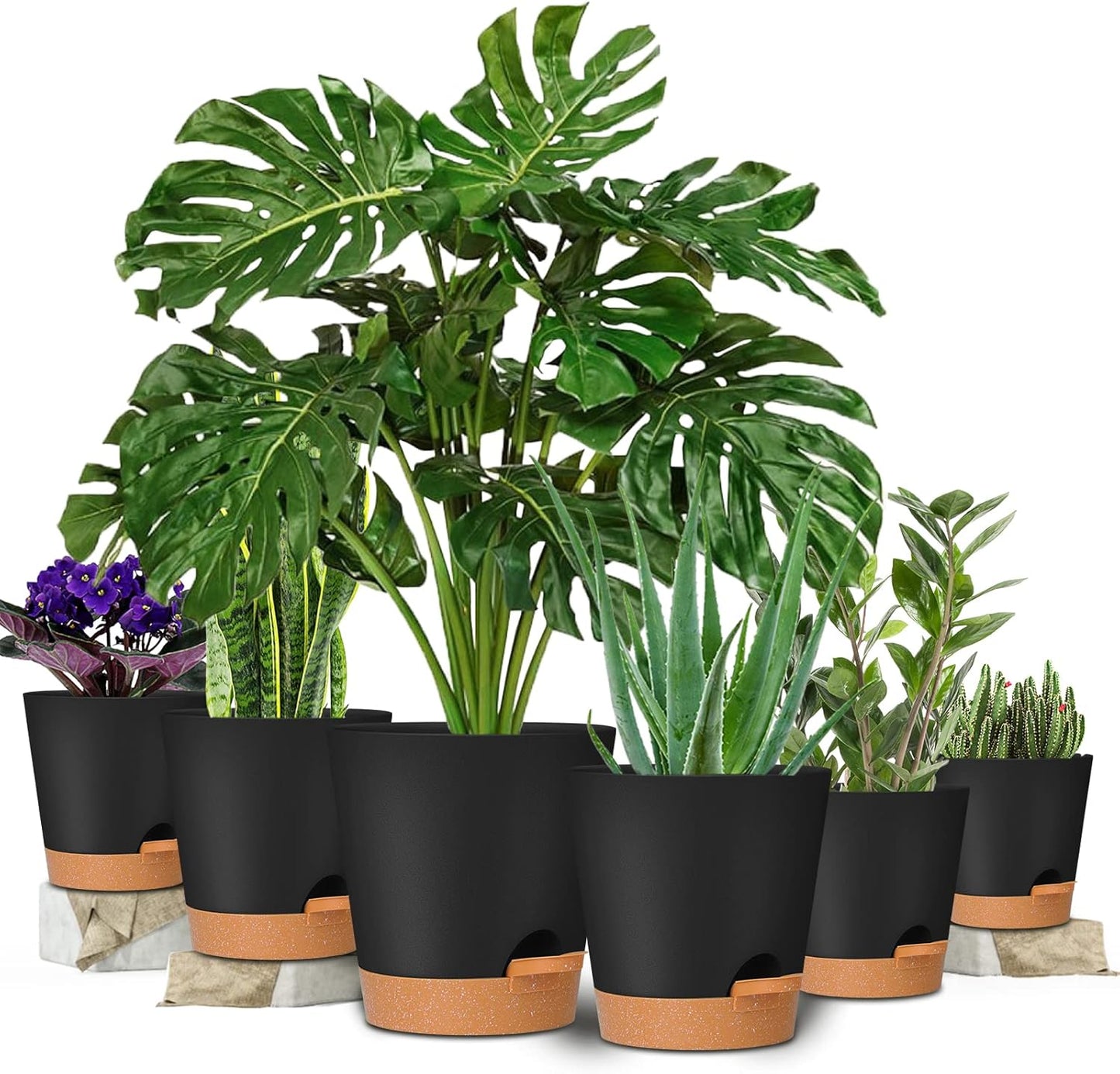 Plant Pots 8/7/6.5/6/5.5/5 Inch Self Watering Planters with Drainage Hole, Plastic Flower Pots, Nursery Planting Pot for All House Plants, African Violet, Flowers, and Cactus,Black
