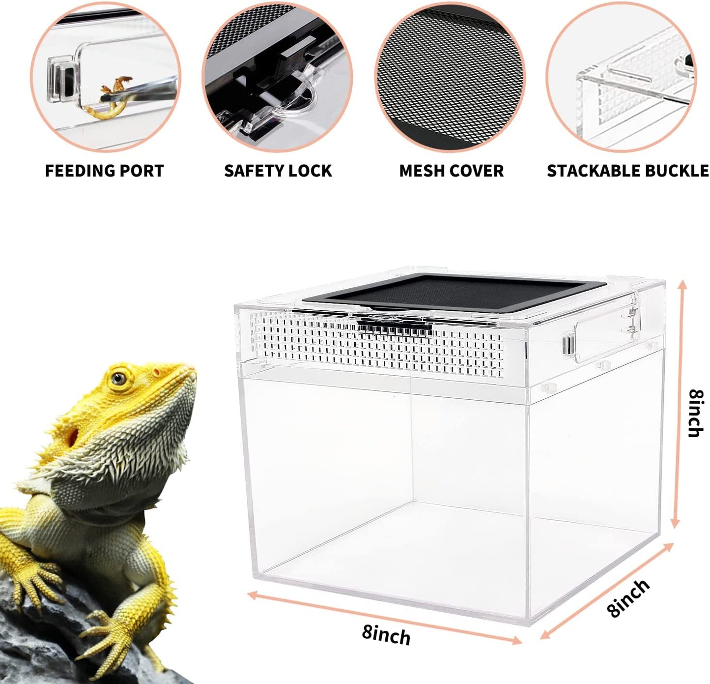 Mini Reptile Terrarium,8" x 8"x 8" Reptile Tank with Full View Visually Appealing,for Insect,Fish,Tarantula,Hermit Crab,Jumping Spider,Iguana,Tortoise,Leopard Gecko,Frog,Bearded Dragon