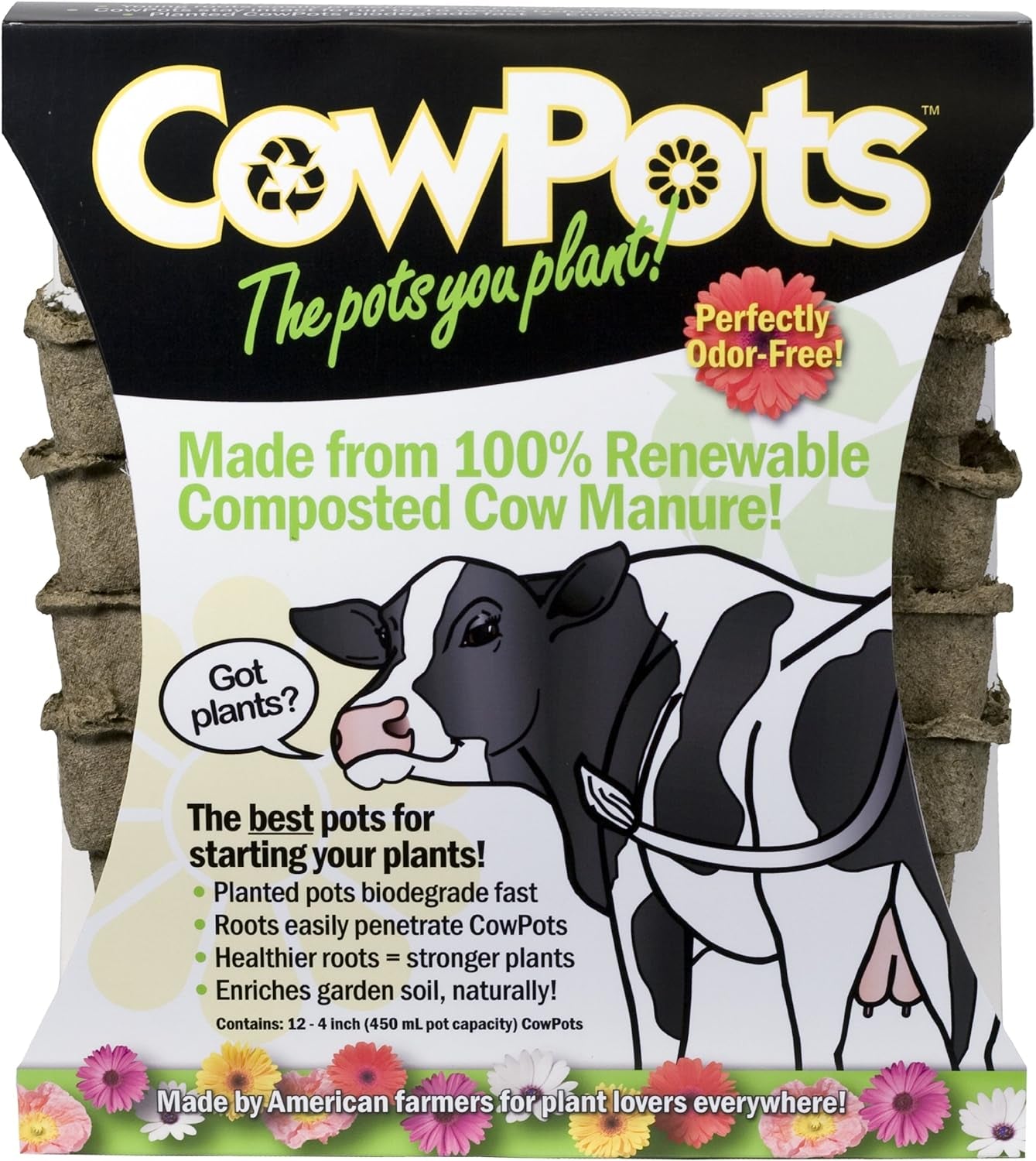 CowPots 102 Square Cowpot, 4", 12-Pack, Brown