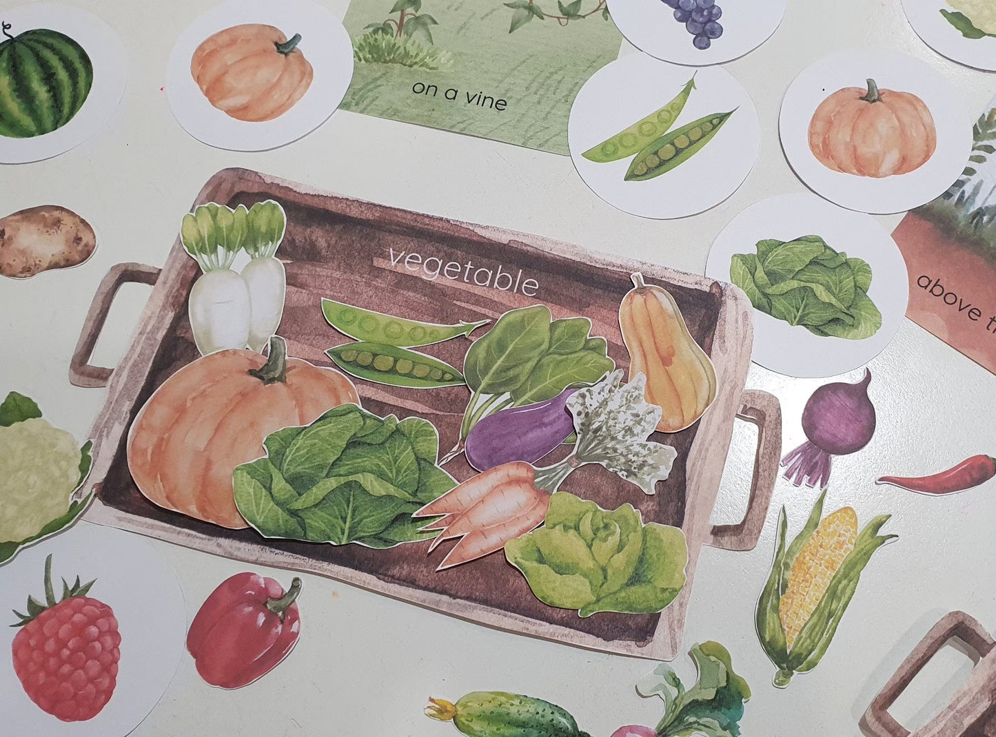 Fruit and Vegetable Sorting Games, Farm Harvest Sorting Games, Montessori Garden Fruit & Vegetable Activities, Where Do They Grow Sorting