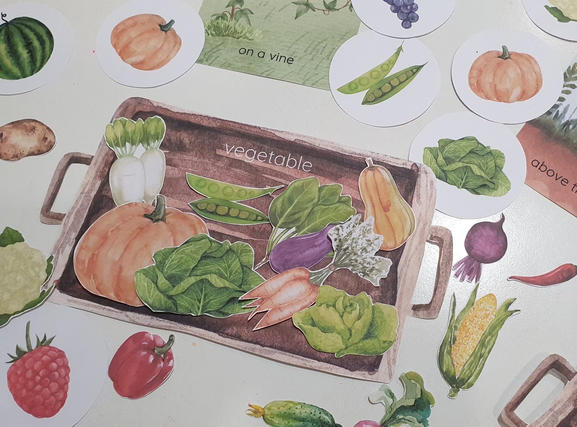 Fruit and Vegetable Sorting Games, Farm Harvest Sorting Games, Montessori Garden Fruit & Vegetable Activities, Where Do They Grow Sorting