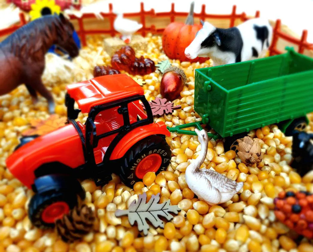 Fall Sensory Bin, Farm Sensory Bin, Toddler Sensory Activity, Preschool Classroom Favors, Thanksgiving Gifts for Kids, Montessori Toy