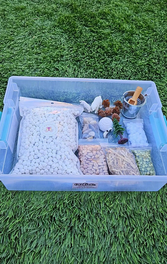Arctic Sensory Bin, Snow Sensory Bin, Winter Sensory Activity, Sensory Bin, Kids Activity, Montessori, Outdoors Sensory Kit
