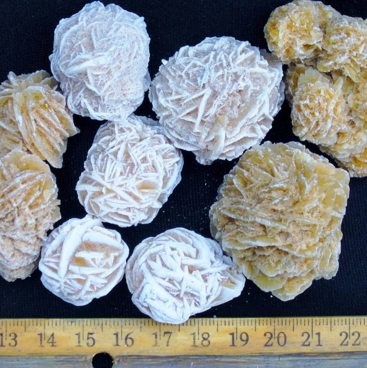 Bulk DESERT ROSES * Natural Selenite Gypsum Crystal Mineral Stones * Choice of 1/2 or 1" Sizes * Mexico