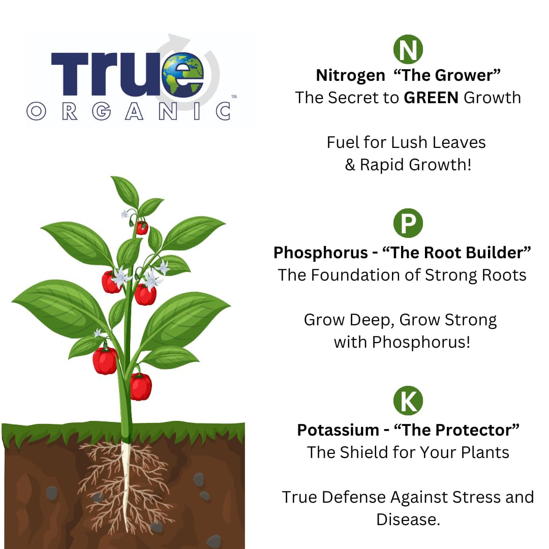 Worm Castings – Natural Fertilizer for Enhanced Soil Health, Root Growth, and Bountiful Yields