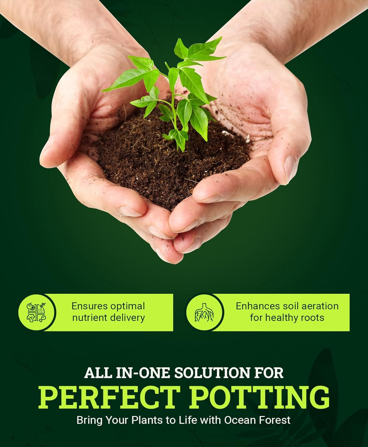 Ocean Forest Potting Soil, 12qt – Light, Aerated Texture, Designed for All Container Plants – pH Adjusted for Optimal Nutrient Uptake, Effectively Retains Moisture (12 Quart (1 Pack))