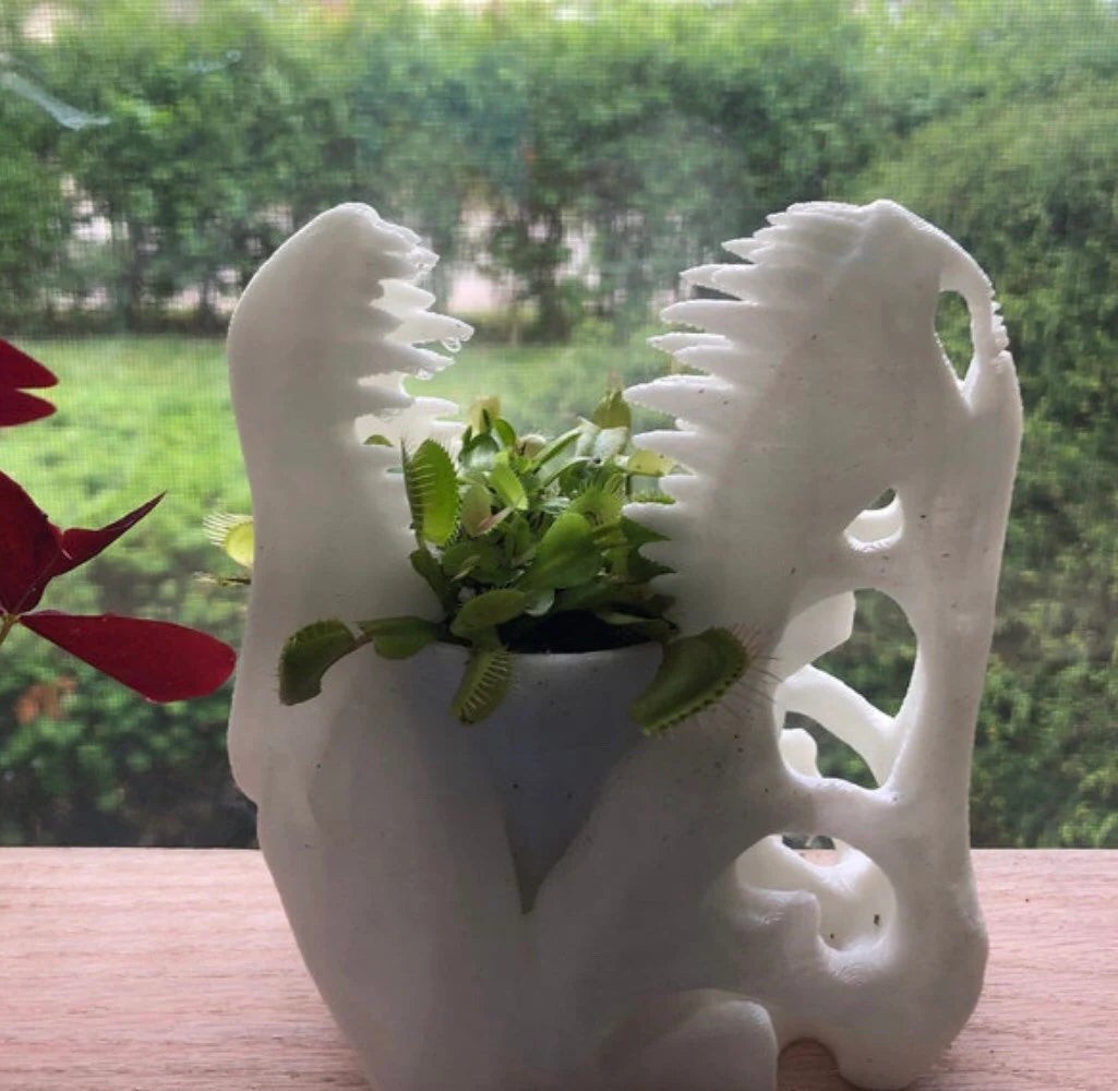 T-Rex Planter, Dinosaur Plant Pot, Dino Skull Planter, Fossil Planter, T-Rex Desk Décor, Dinosaur Skull Pot, Dino Succulent Pot, Dino Pot