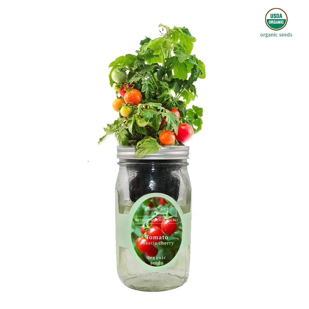 Sweetie Cherry Tomato Mason Jar Hydroponic Herb Kit with Organic Seeds, Gardening Gift