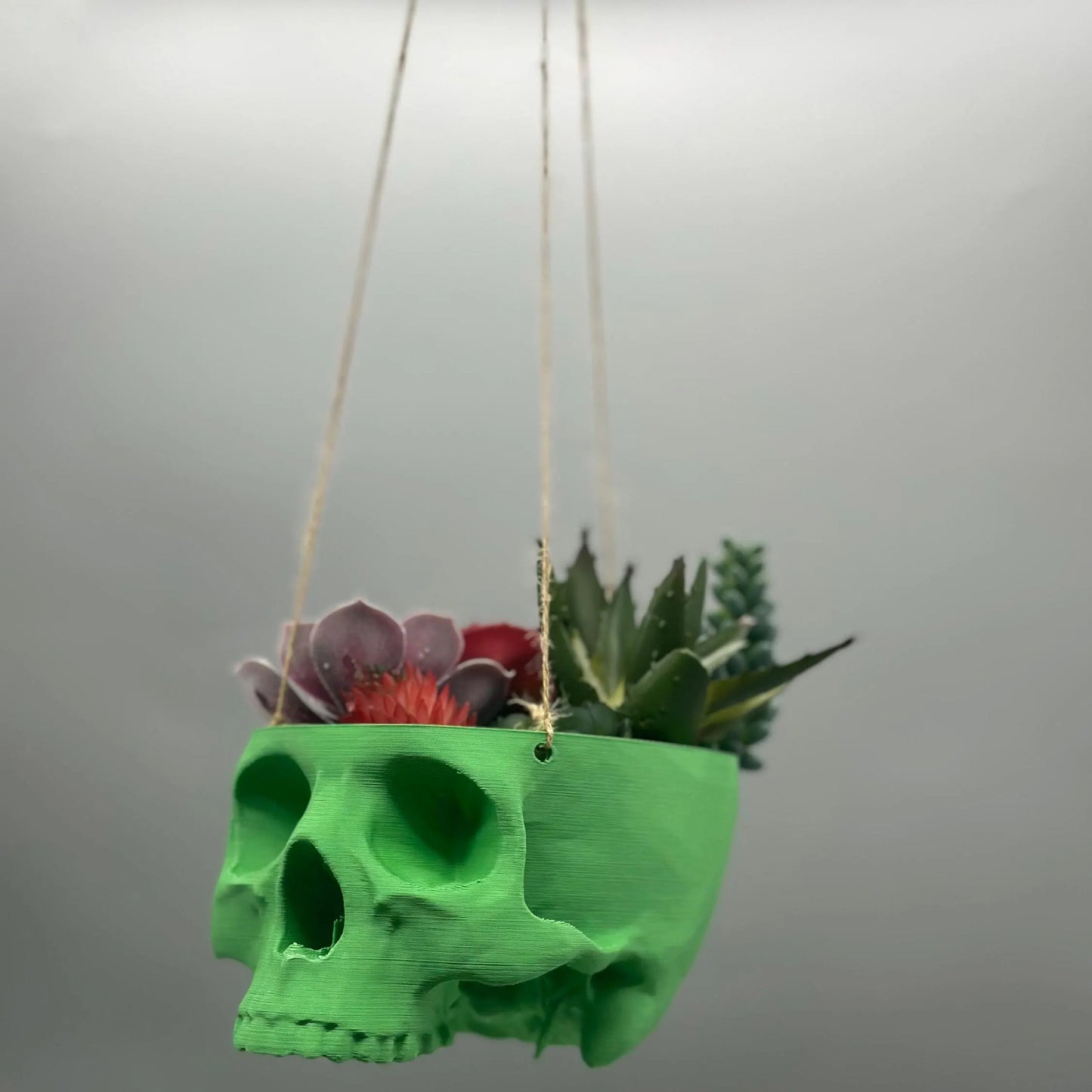Skull Hanging Planter Pot, hanging kit included - Succulent Planter - 3D Printed - skull planter pot - halloween decor - Plant Horror Gothic