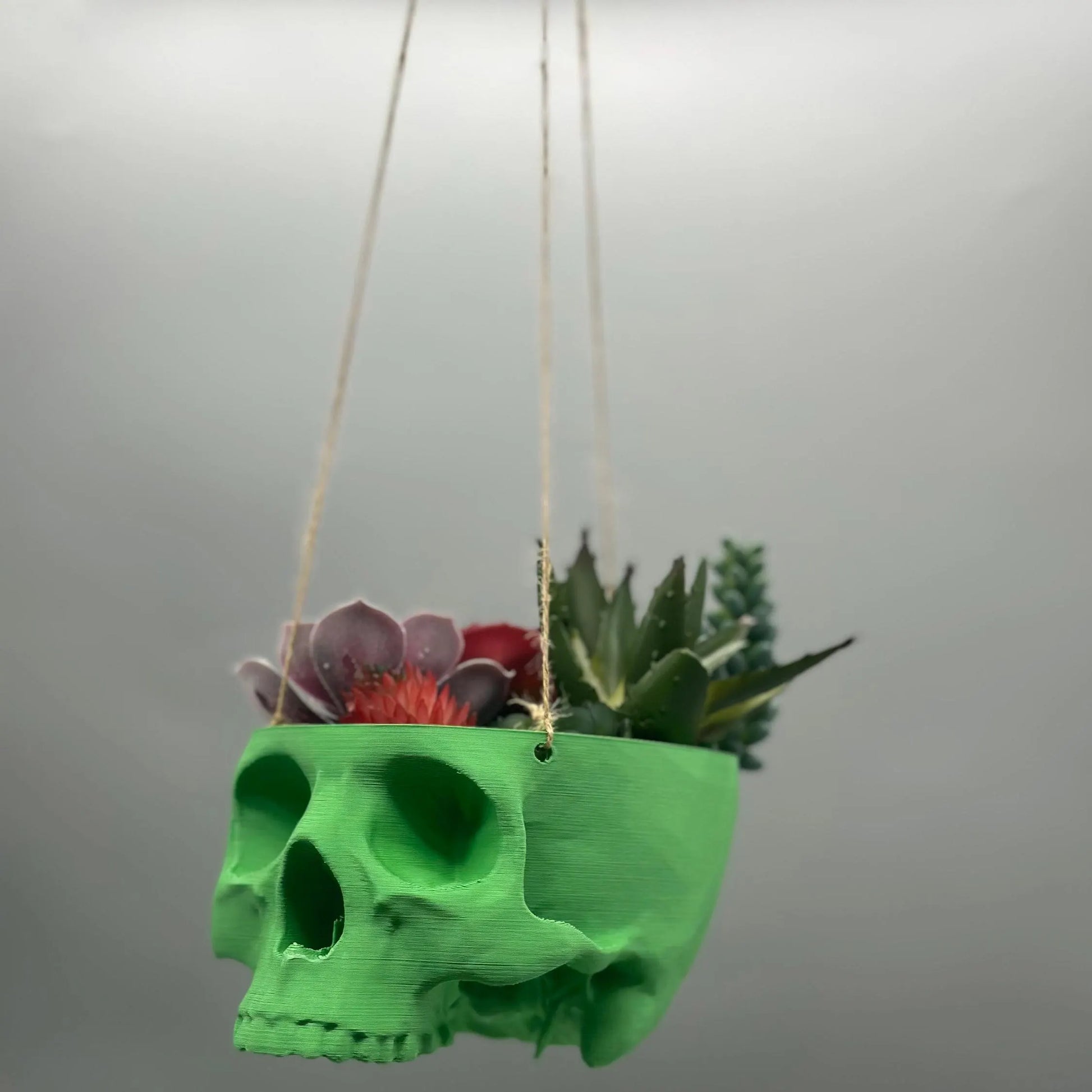 Skull Hanging Planter Pot, hanging kit included - Succulent Planter - 3D Printed - skull planter pot - halloween decor - Plant Horror Gothic
