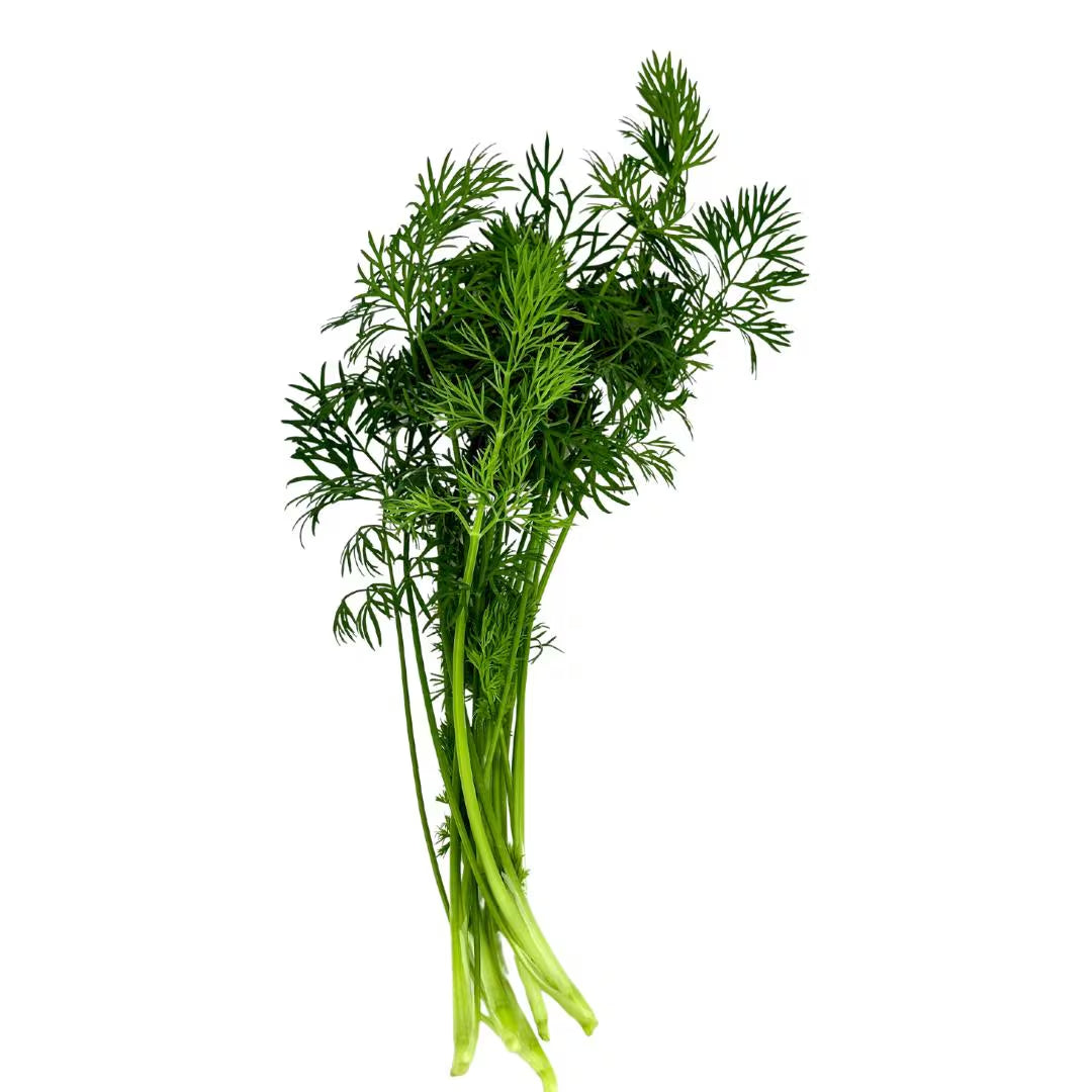 Herb Bundle: Ready-to-plant seedlings, Starts, Plugs, Garden ready, Live plants, Transplants, Pre-sprouted, For soil & hydroponic gardens