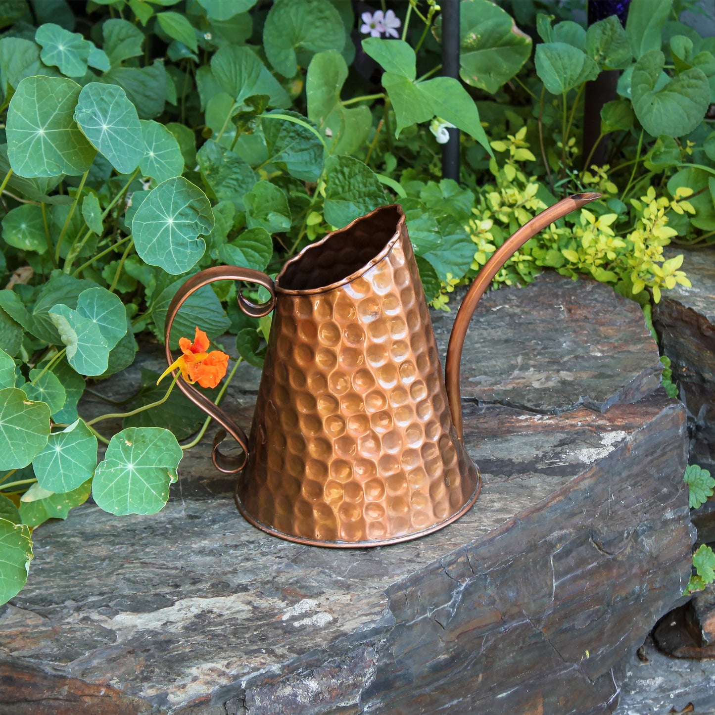 French Market Solid Copper Watering Can
