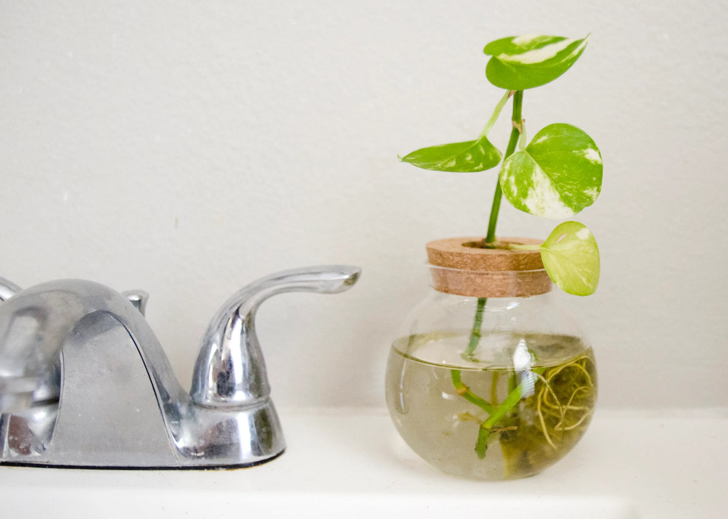 Propagation Jar Hydroponic Vase Cork Lid Plant Terrarium