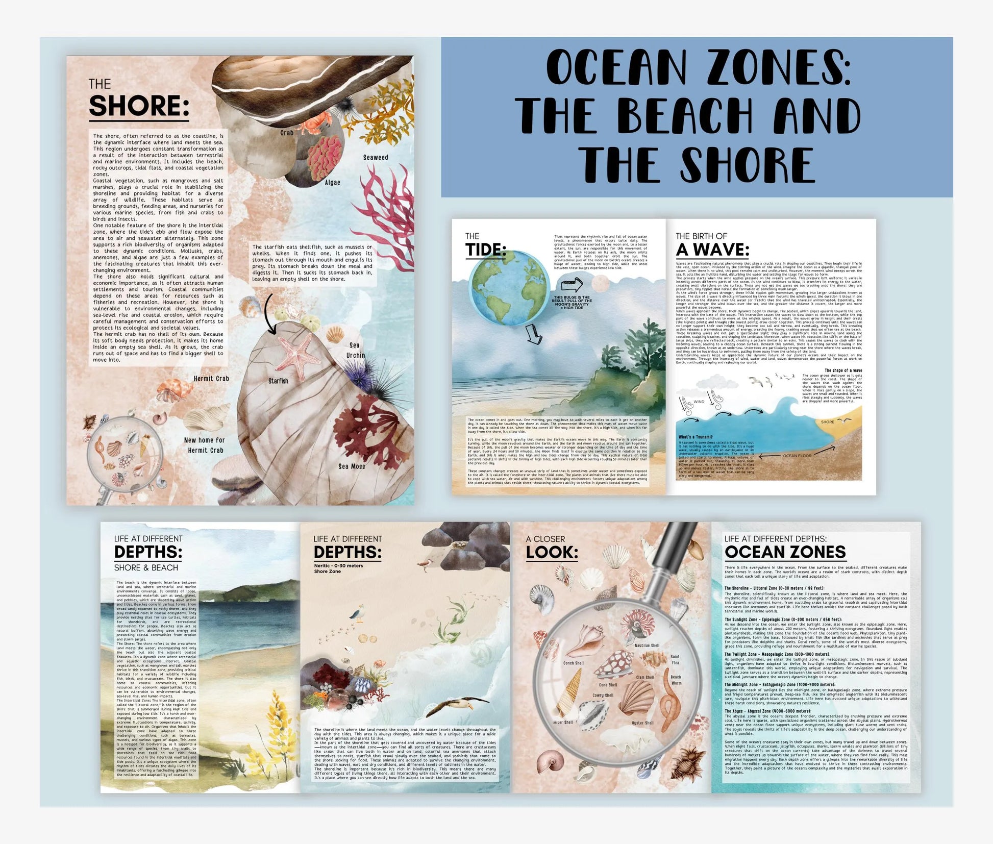 3 Unit Study BUNDLE Educational Resources for Teachers, Homeschool and Montessori Learning Spaces, Watercolor Illustrations