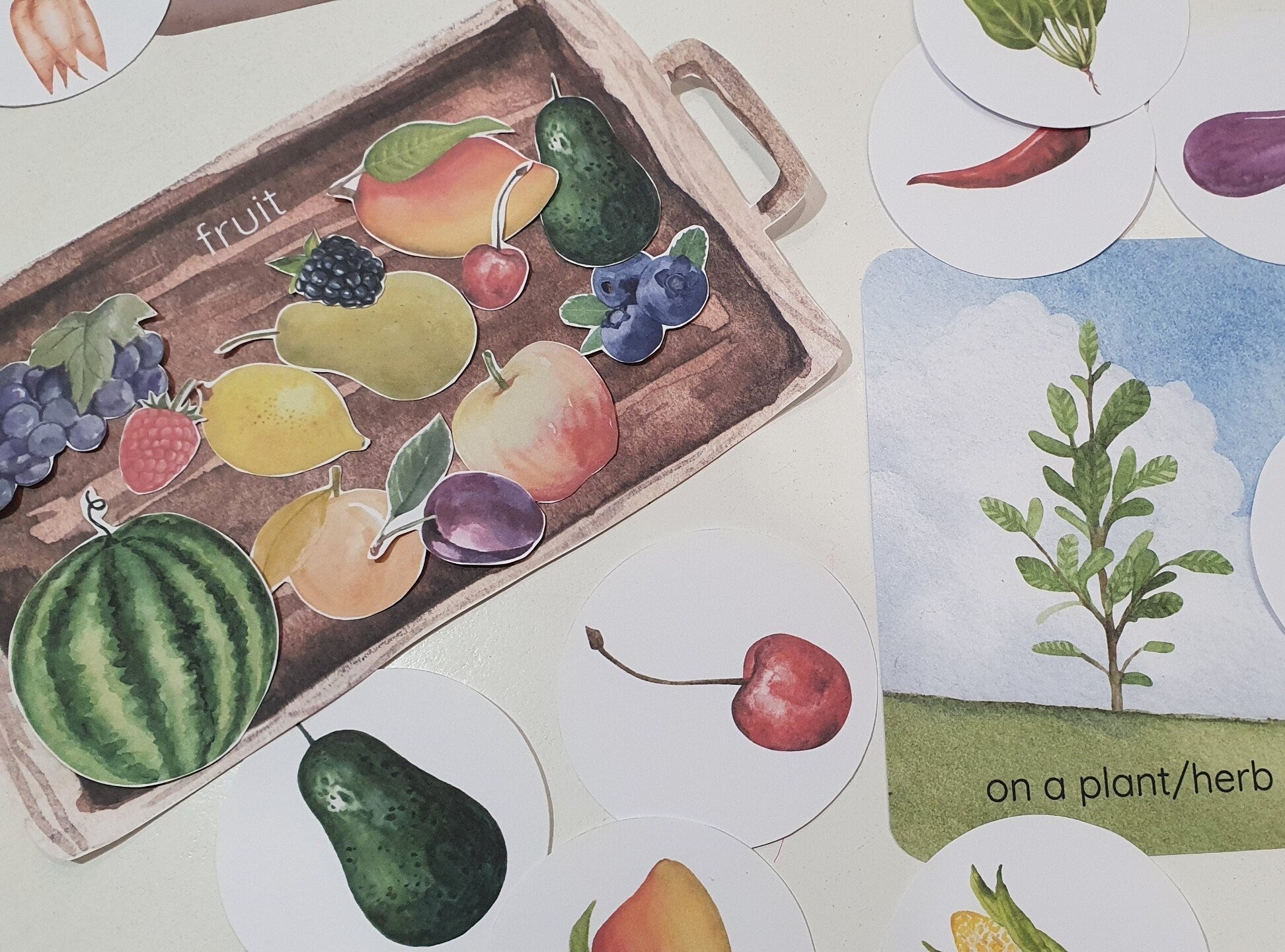 Fruit and Vegetable Sorting Games, Farm Harvest Sorting Games, Montessori Garden Fruit & Vegetable Activities, Where Do They Grow Sorting