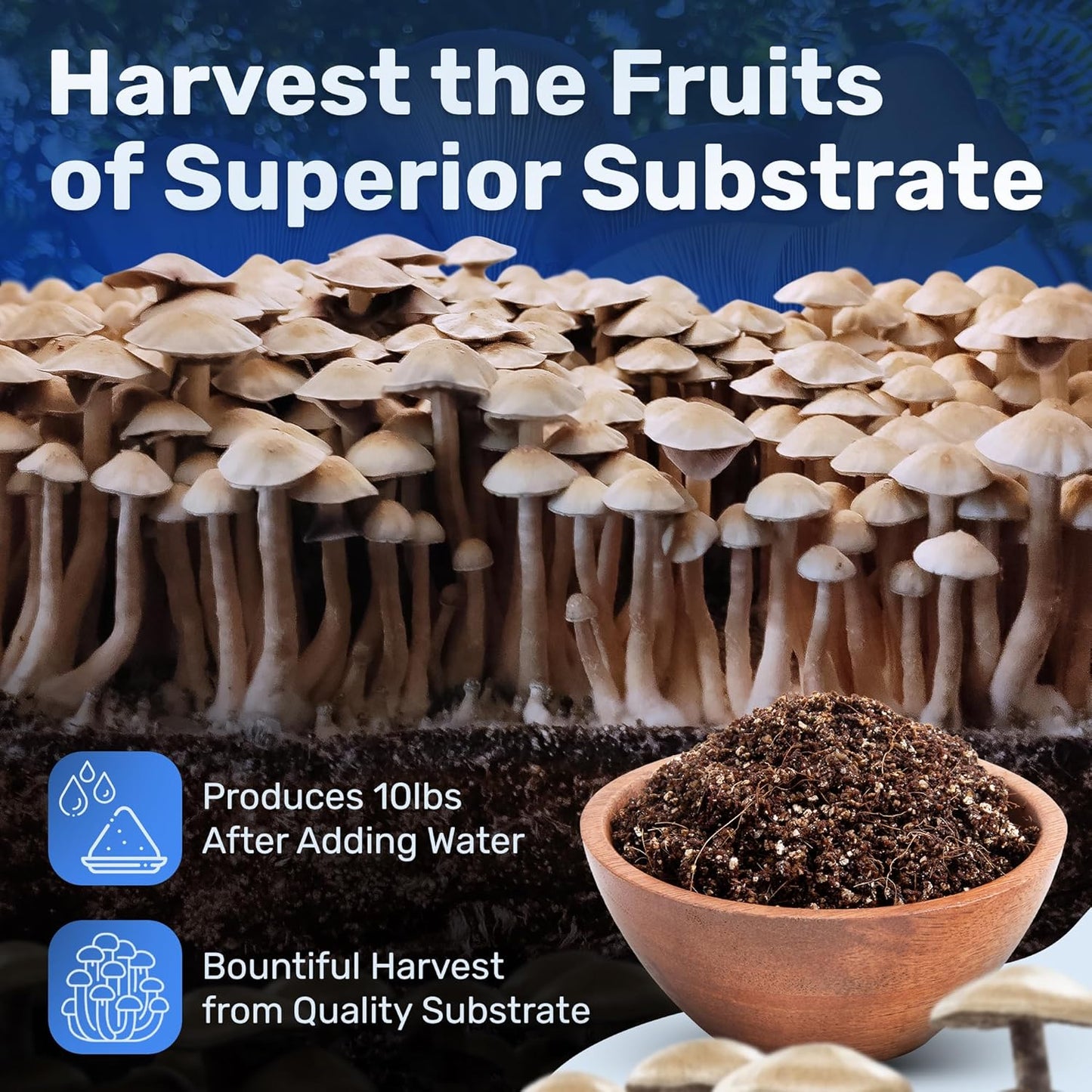 Dry Mushroom Substrate Mix | Produces 10 Pounds of Pasteurized Bulk Substrate | CVG Blend (Coco Coir, Vermiculite, Gypsum)