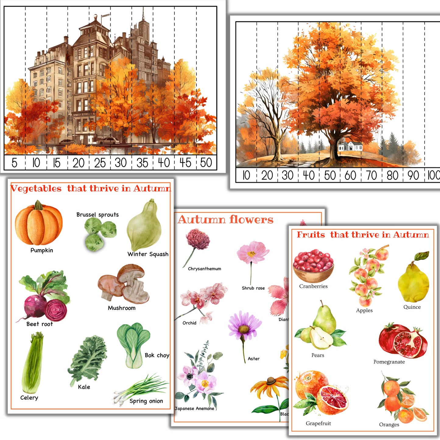fall unit study, Mushroom unit study, Corn unit study, Fox unit study, Oak tree cycle, Fall activities, Fall nature study, Montessori fall