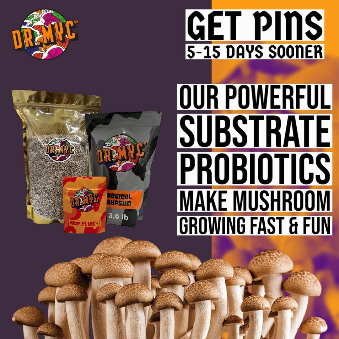 Magical Gypsum - Lab Grade Gypsum with Nutritional Profile Designed by Mycologist . Perfect for Bulk Mushroom Substrate + Houseplants - Lab Grade with MGP Microbes for Mushroom Growing (1lb)