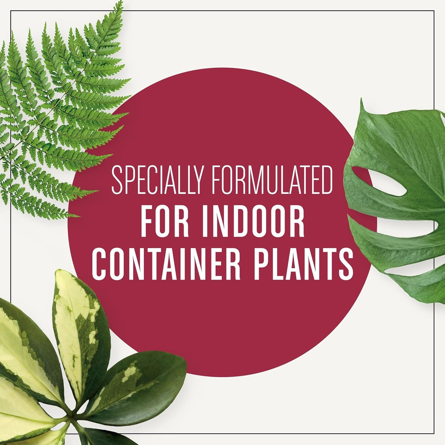 Houseplant Potting Mix: Fertilized, Perlite Soil for Indoor Gardening, Designed to Be Less Prone to Gnats, 4 qt.