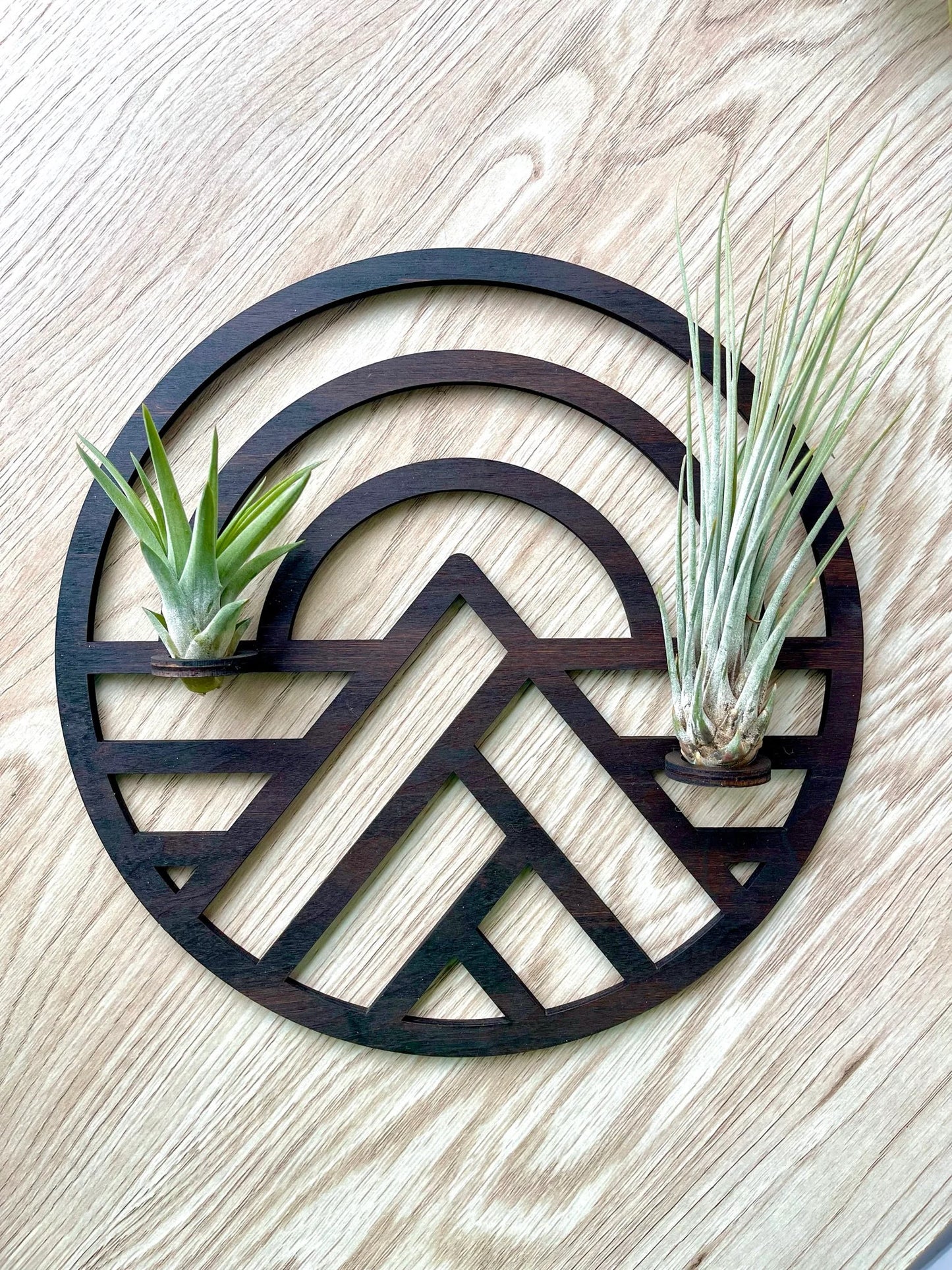 Wood Wall decor / Propagation station Air Plant Mountain Wall planter indoor Natural PNW Hanging Gifts for her plant lovers Plant Wall