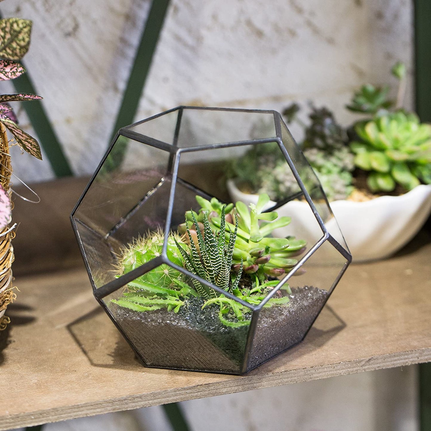 Small Open Terrarium Planter - 6.89" x 6.89" x 5.9" Pentagon Geometric Glass Container Pot for Succulents, Air Plants - Home Garden Tabletop Miniature Decor, Black (No Plants)
