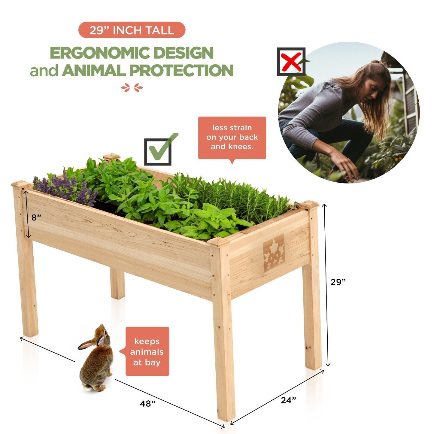 Raised Garden Bed - Elevated Wood Planter Box with Bed Liner