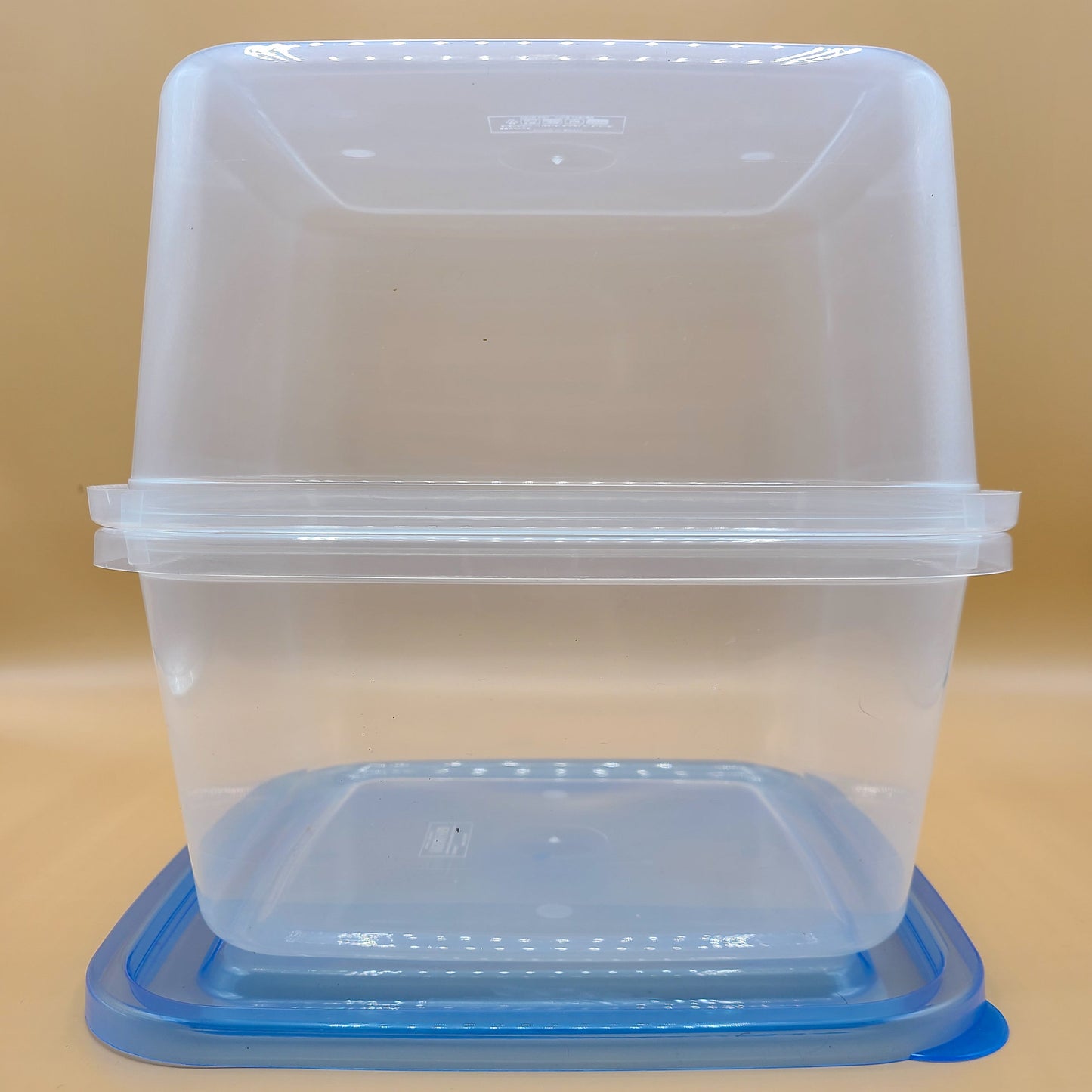 Mushroom Monotub Shoebox Grow Kit: All-In-One Rye Grain, CVG, Agar Kit for Mushroom Cultivation with Accessories and Complete Guide
