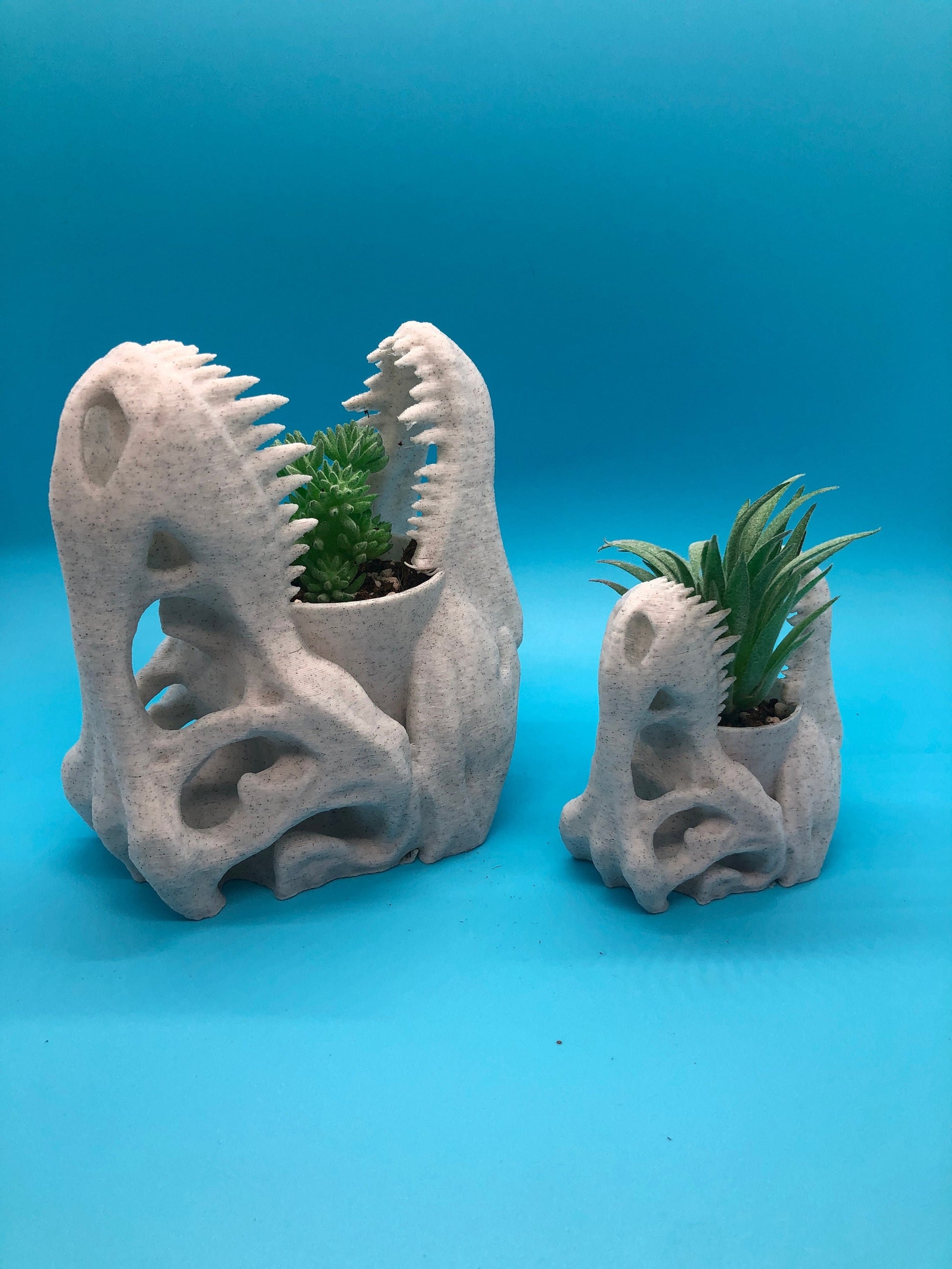 T-Rex Planter, Dinosaur Plant Pot, Dino Skull Planter, Fossil Planter, T-Rex Desk Décor, Dinosaur Skull Pot, Dino Succulent Pot, Dino Pot