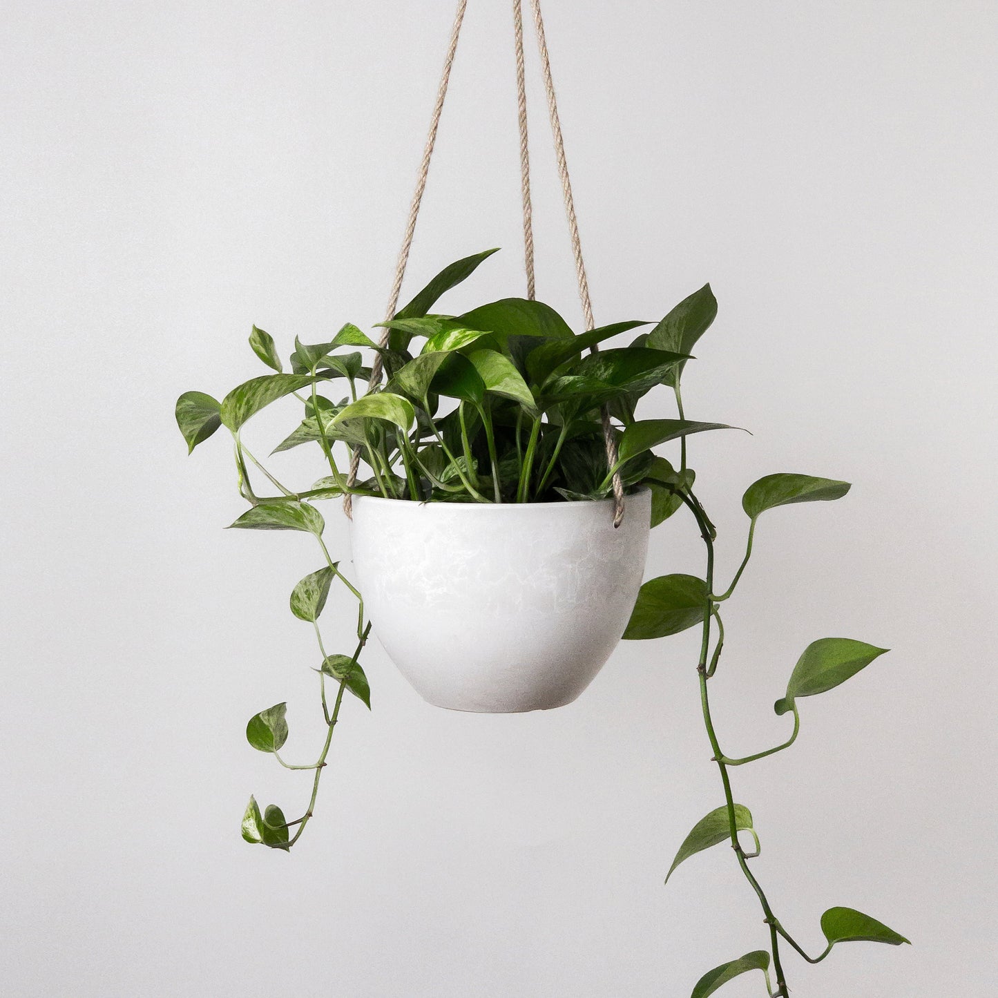 Hanging Planter Pot with Drainage Hole | Indoor Hanging Pots| 8" or 12" Succulent Plant Pot | Imitation Concrete Ceramic Hanging Planter Pot