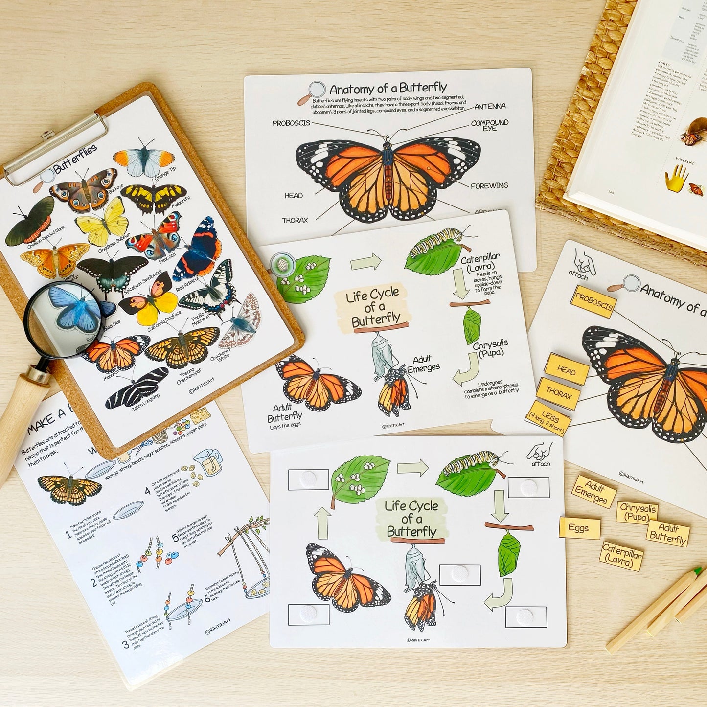 Printable Nature Journal Homeschool Learning Materials Charlotte Mason Nature Study Preschool Curriculum Toddler Busy Book Printable