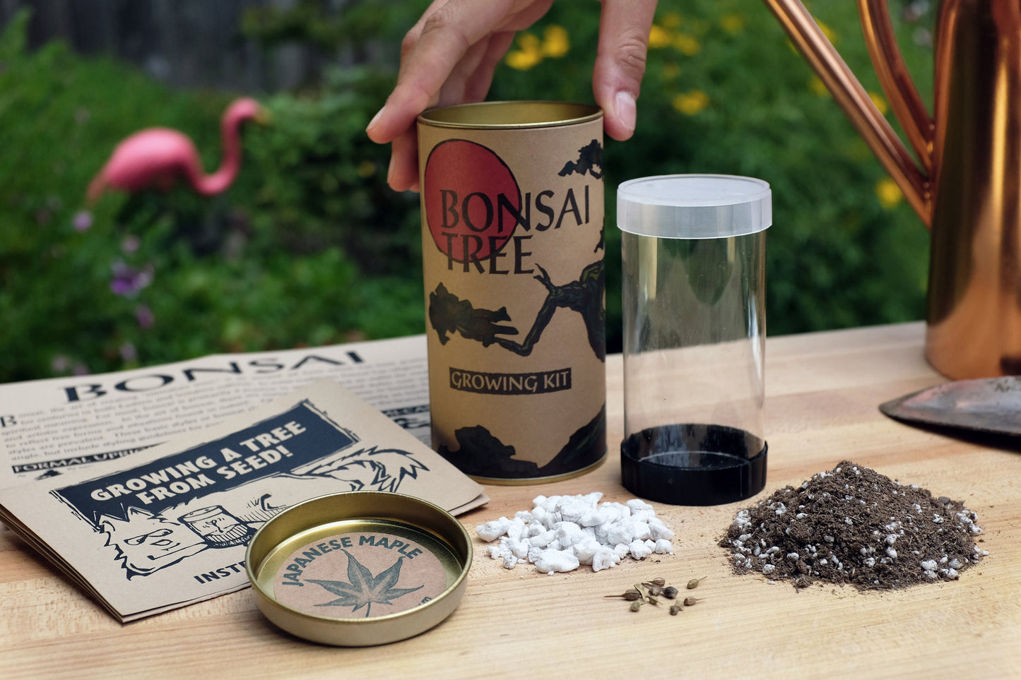 Bonsai Tree | Seed Grow Kit | The Jonsteen Company