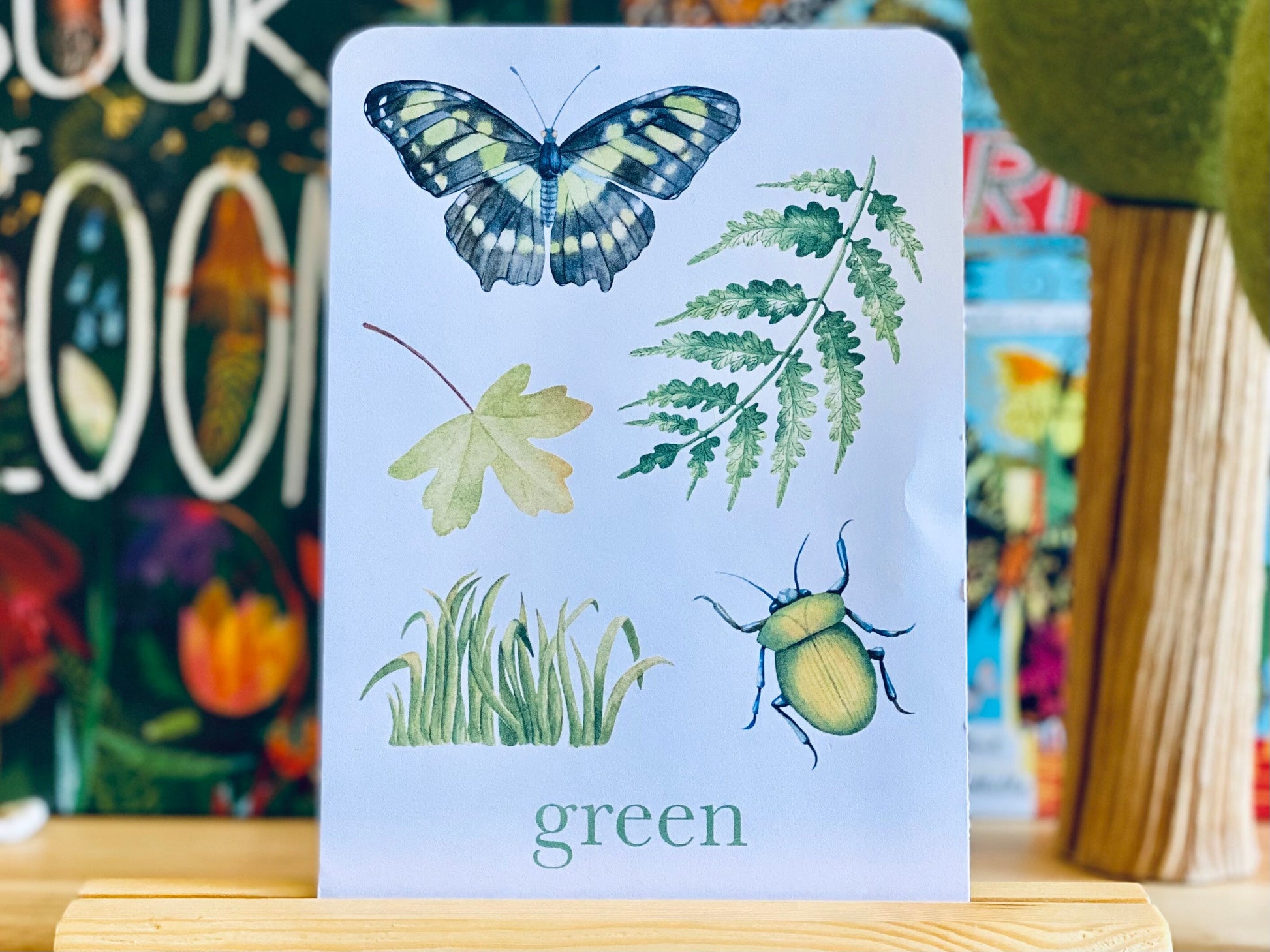 Colour Nature Flashcards, Nature Inspired,  Printable Colour Flashcards for Kids, Educational Printable Cards, Montessori Flashcards Dowload