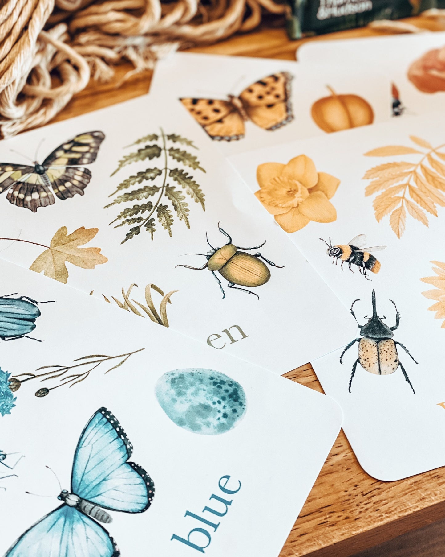 Colour Nature Flashcards, Nature Inspired,  Printable Colour Flashcards for Kids, Educational Printable Cards, Montessori Flashcards Dowload