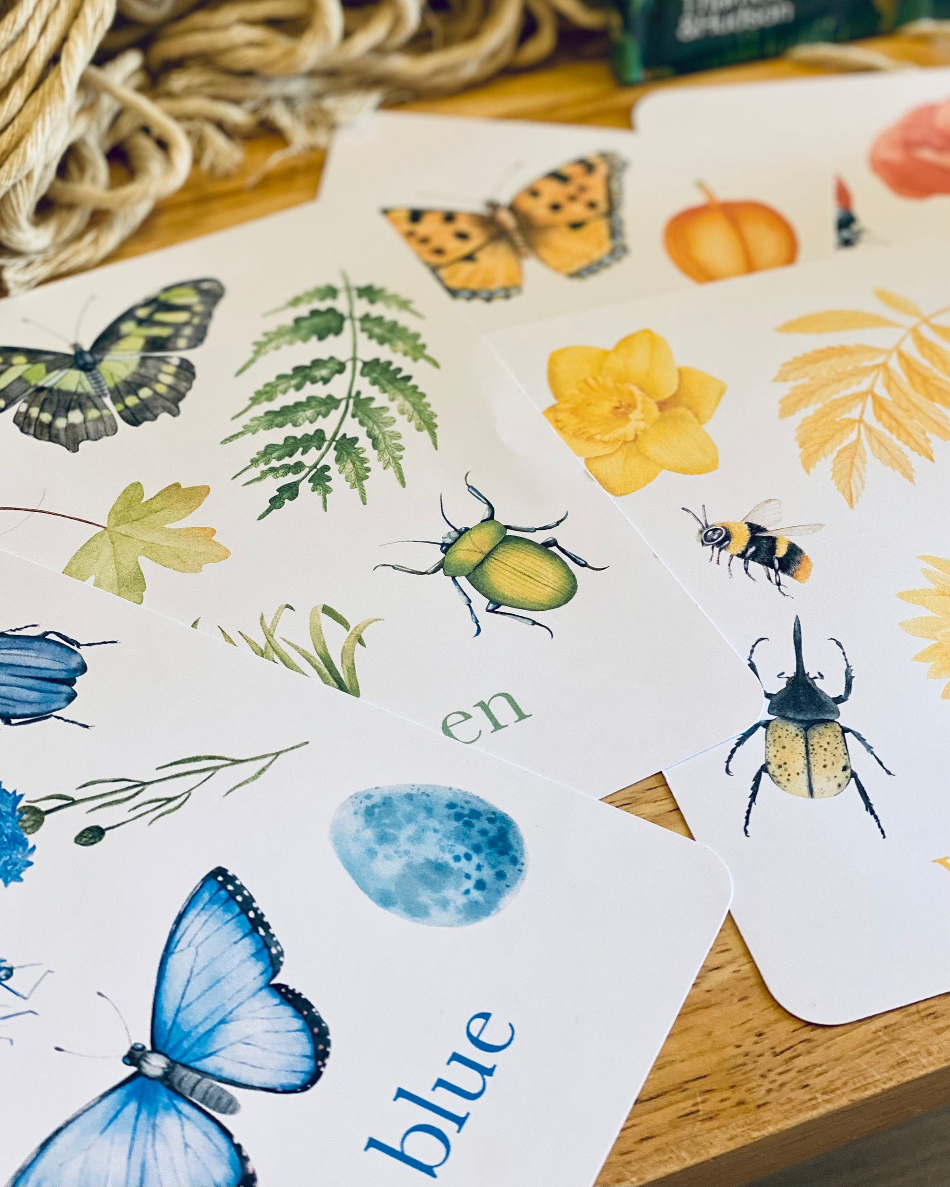 Colour Nature Flashcards, Nature Inspired,  Printable Colour Flashcards for Kids, Educational Printable Cards, Montessori Flashcards Dowload