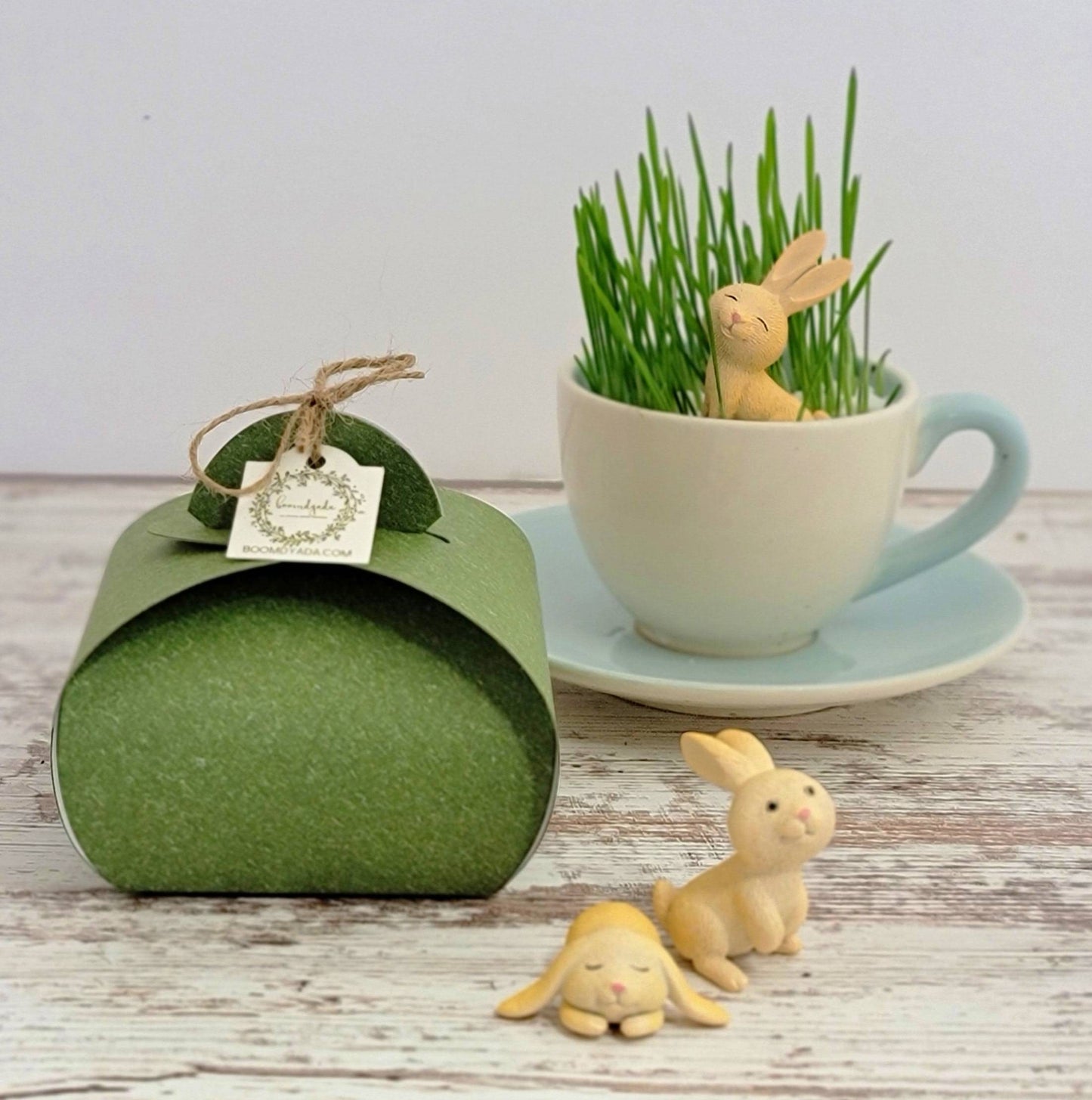 Adorable DIY Bunny Terrarium Kit by , Easter Basket Stuffer, Kids Plant Set with Wheatgrass Seeds, Fun Spring Science Craft or Gift