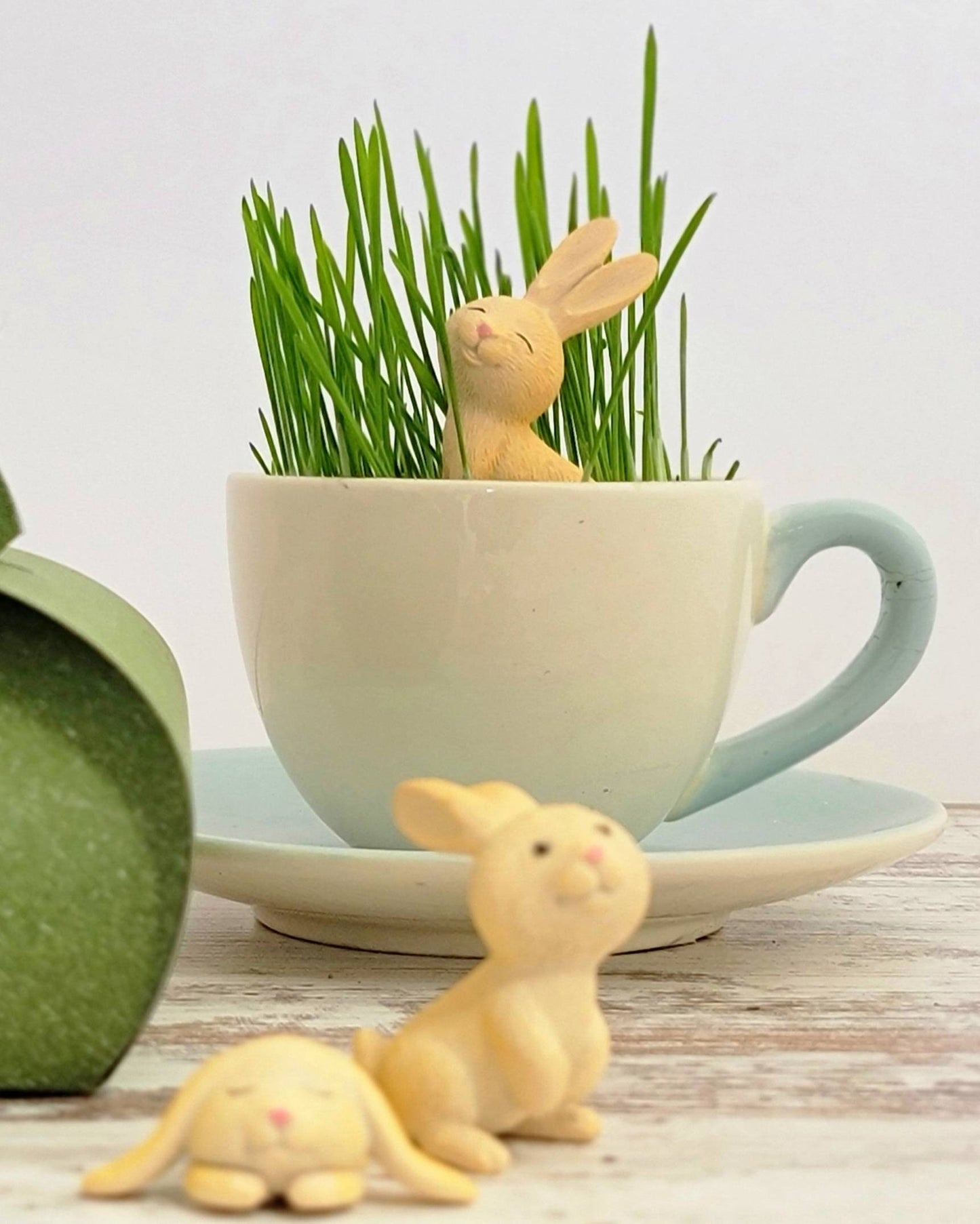 Adorable DIY Bunny Terrarium Kit by , Easter Basket Stuffer, Kids Plant Set with Wheatgrass Seeds, Fun Spring Science Craft or Gift