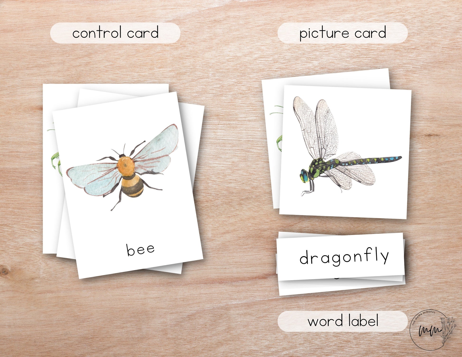 INSECT Nomenclature 3 Part Montessori Spring Flash Cards Printable PDF